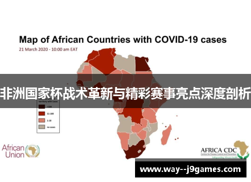 非洲国家杯战术革新与精彩赛事亮点深度剖析